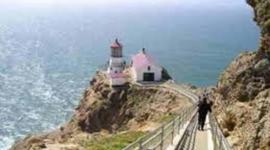 Timeline: Ms. Williams Life