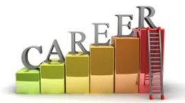 Timeline: Career plan