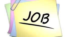 Timeline: Career Project