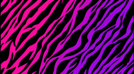 Timeline: Life as I know it