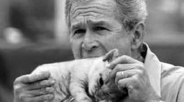 Timeline: Whassup with WWII?!