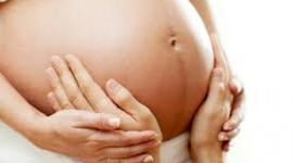 Timeline: El nuevo desarrollo humano