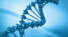 Timeline: Acotencimientos DNA