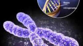 Timeline: HISTORIA DEL PROYECTO DEL GENOMA HUMANO