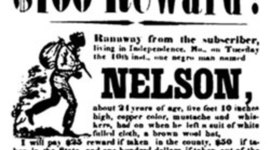 Timeline: Brendans no no just kiding