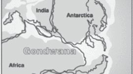 Timeline: New Zealand