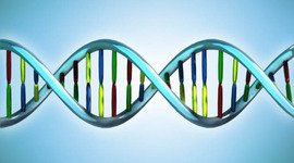 Timeline: Genoma Humano