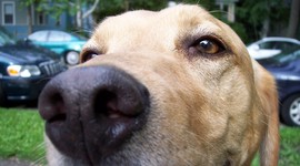 Timeline: my timeline adia