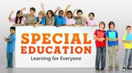 Timeline: Special Education RTLB (Looking back, to look forward)