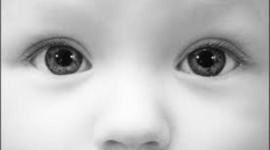 Timeline: Development of the Eye during Pregnancy