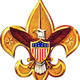 Boy scouts logo1