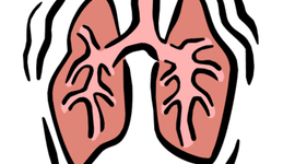 Timeline: Fetal Respiratory Development