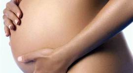 Timeline: Taylor's Fetal Development Project