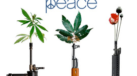 Timeline: Drug War Major Events