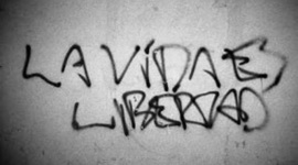 Timeline: Derechos fundamentales individuales.El derecho a la vida y la libertad.