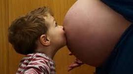 Timeline: Stages of the 3 Trimesters