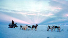 Timeline: Izzy Antarctica Timeline