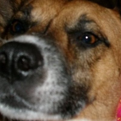 Timeline: My Life Timeline