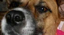 Timeline: My Life Timeline