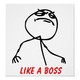 Like a boss
