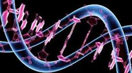 Timeline: Genoma Humano