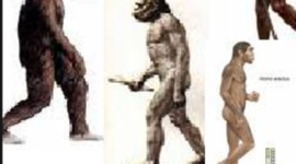 Timeline: EJE CRONOLÓGICO.