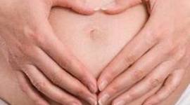 Timeline: The Stages of Pregnancy By: Madison Earle