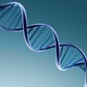 Dna orig 800x600