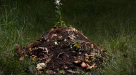 Timeline: Heat Generation from Compost
