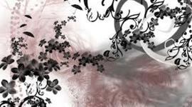 Timeline: Silvia TimeLine