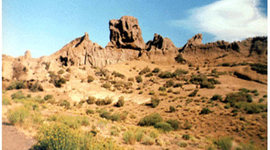 Timeline: DEGRADACIÓN DEL MEDIO AMBIENTE