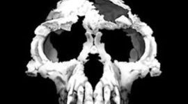 Timeline: La Evolución Homínidos