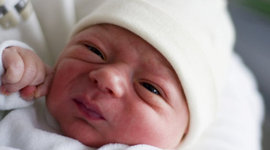 Timeline: Alan and Javier's Fetus development timeline