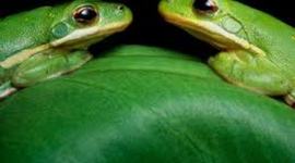 Timeline: MI ASOMBROSA VIDA