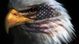 Timeline: The Path to Freedom