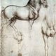 Leonardo's horse study