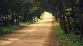 Timeline: Discovering My Passion for Learning through Technology