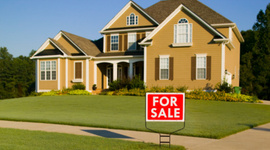 Timeline: Sigal Reality