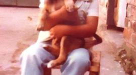 Timeline: BITACORA DE MI VIDA