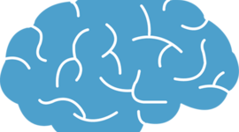 Timeline: Anatomic.us Game