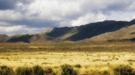 Timeline: The American West