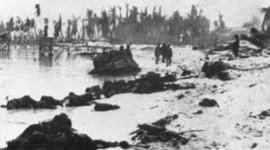 Timeline: WWII Timeline