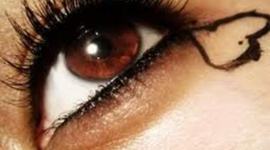 Timeline: Middle School