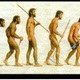 Evolucion tecnologica del hombre