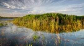 Timeline: Environmental Monitoring