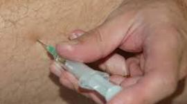 Timeline: PROGRAMA PIE