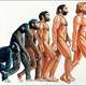 Hominodos