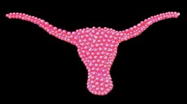 Timeline: Texas History Class