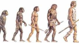 Timeline: El origen de la especie humana