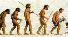 Timeline: EVOLUCIÓN DE LOS HOMINIDOS